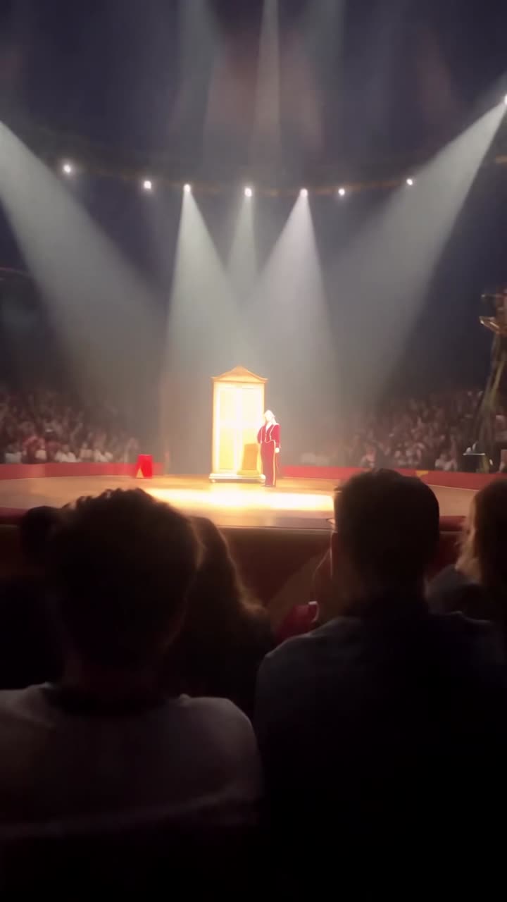 Red Velvet Magician, Lion & Doves