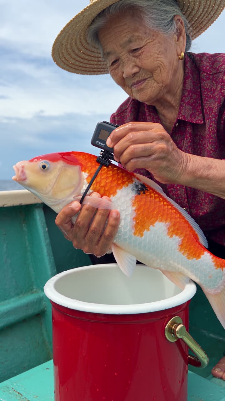 Grandma's Secret Koi Club — Seedance 2.5